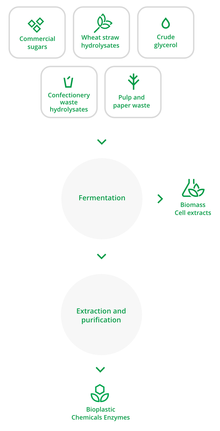 Real-life materials,<br />
diversified products