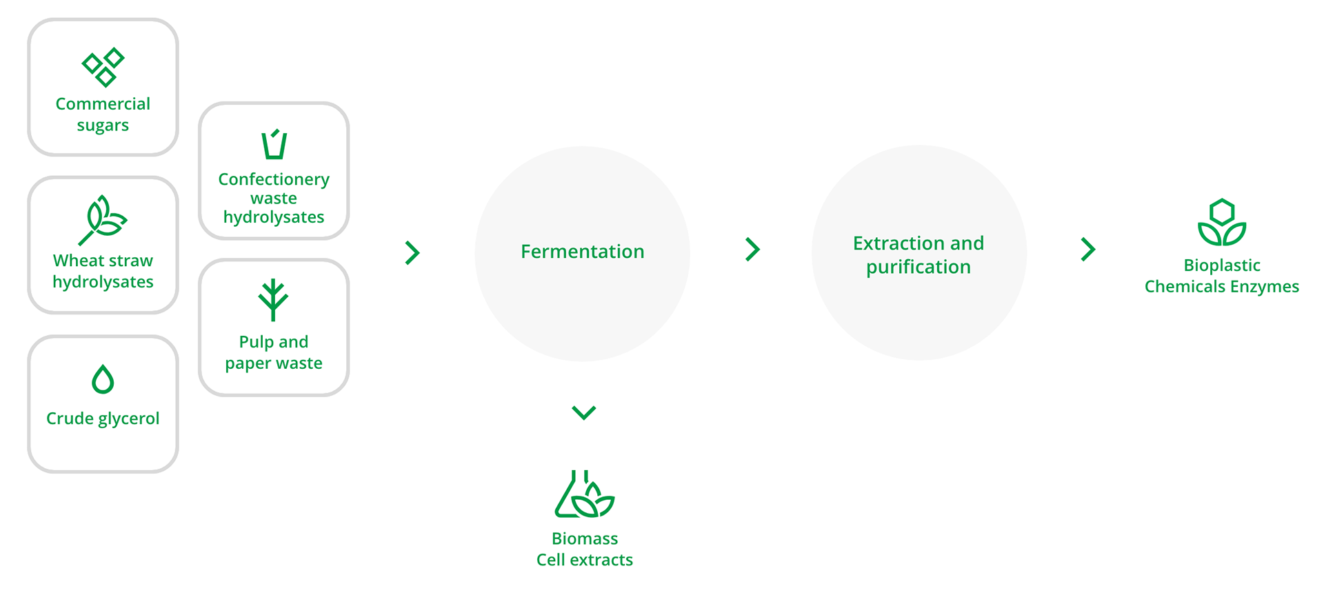 Real-life materials,<br />
diversified products